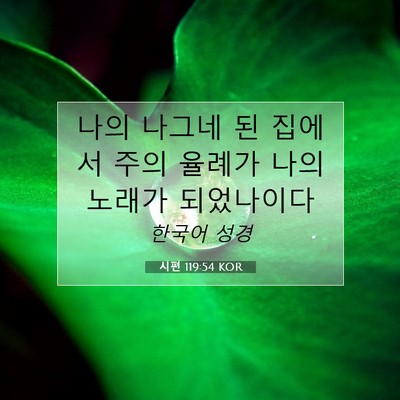 Picture 07 - 시편 119:54 KOR - 나의 나그네 된 집에서 주의 율례가 - Bible Verse Picture