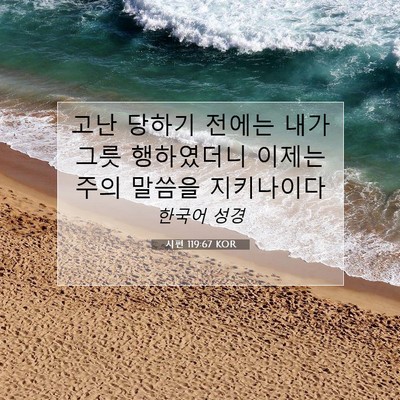 Picture 07 - 시편 119:67 KOR - 고난 당하기 전에는 내가 그릇 - Bible Verse Picture
