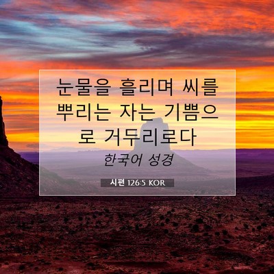 Picture 07 - 시편 126:5 KOR - 눈물을 흘리며 씨를 뿌리는 자는 - Bible Verse Picture