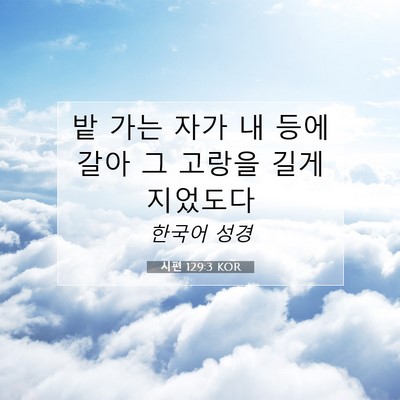 Picture 07 - 시편 129:3 KOR - 밭 가는 자가 내 등에 갈아 그 고랑을 - Bible Verse Picture