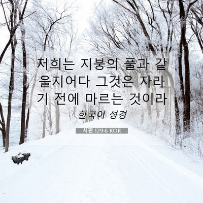 Picture 07 - 시편 129:6 KOR - 저희는 지붕의 풀과 같을지어다 - Bible Verse Picture