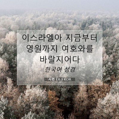 Picture 07 - 시편 131:3 KOR - 이스라엘아 지금부터 영원까지 - Bible Verse Picture