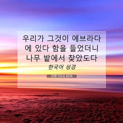 Picture 07 - 시편 132:6 KOR - 우리가 그것이 에브라다에 있다 함을 - Bible Verse Picture