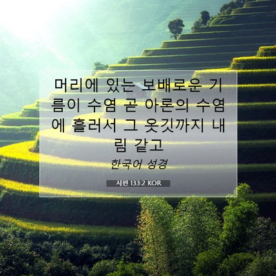 Picture 07 - 시편 133:2 KOR - 머리에 있는 보배로운 기름이 수염 - Bible Verse Picture