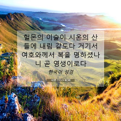 Picture 07 - 시편 133:3 KOR - 헐몬의 이슬이 시온의 산들에 내림 - Bible Verse Picture