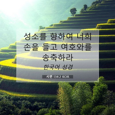 Picture 07 - 시편 134:2 KOR - 성소를 향하여 너희 손을 들고 - Bible Verse Picture