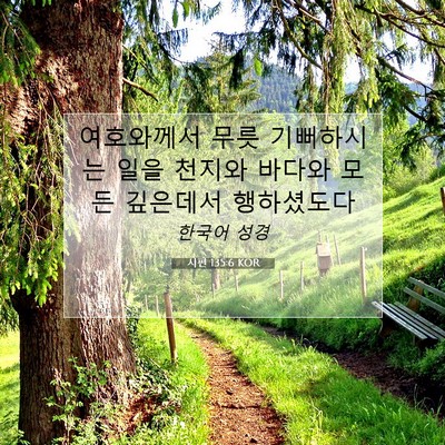 Picture 07 - 시편 135:6 KOR - 여호와께서 무릇 기뻐하시는 일을 - Bible Verse Picture