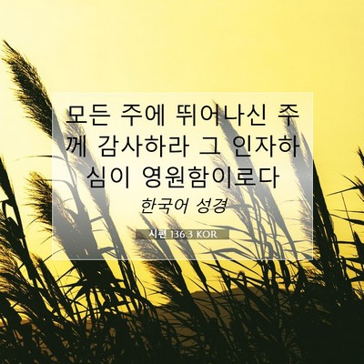Picture 07 - 시편 136:3 KOR - 모든 주에 뛰어나신 주께 감사하라 - Bible Verse Picture