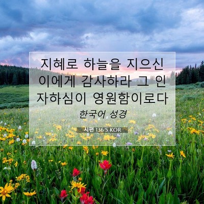 Picture 07 - 시편 136:5 KOR - 지혜로 하늘을 지으신 이에게 - Bible Verse Picture