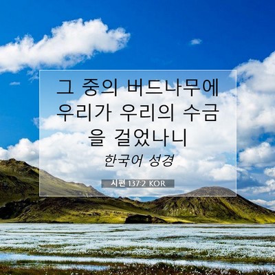 Picture 07 - 시편 137:2 KOR - 그 중의 버드나무에 우리가 우리의 - Bible Verse Picture