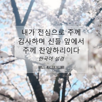 Picture 07 - 시편 138:1 KOR - 내가 전심으로 주께 감사하며 신들 - Bible Verse Picture