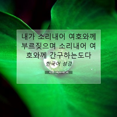 Picture 07 - 시편 142:1 KOR - 내가 소리내어 여호와께 부르짖으며 - Bible Verse Picture