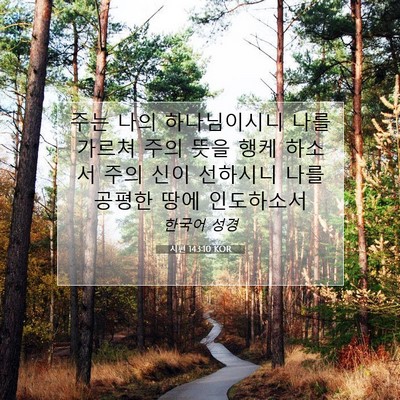 Picture 07 - 시편 143:10 KOR - 주는 나의 하나님이시니 나를 가르쳐 - Bible Verse Picture