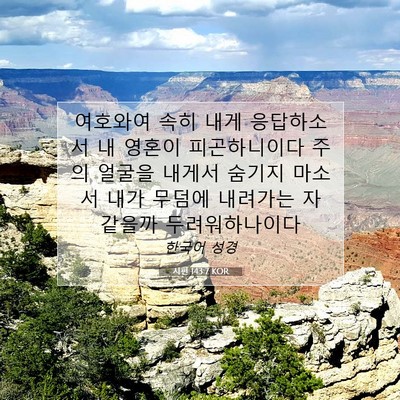 Picture 07 - 시편 143:7 KOR - 여호와여 속히 내게 응답하소서 내 - Bible Verse Picture