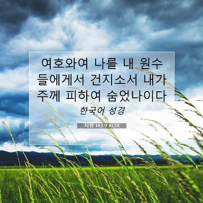 Picture 07 - 시편 143:9 KOR - 여호와여 나를 내 원수들에게서 - Bible Verse Picture