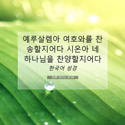 Picture 07 - 시편 147:12 KOR - 예루살렘아 여호와를 찬송할지어다 - Bible Verse Picture