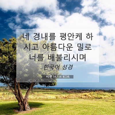Picture 07 - 시편 147:14 KOR - 네 경내를 평안케 하시고 아름다운 - Bible Verse Picture