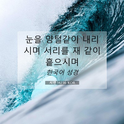 Picture 07 - 시편 147:16 KOR - 눈을 양털같이 내리시며 서리를 재 - Bible Verse Picture