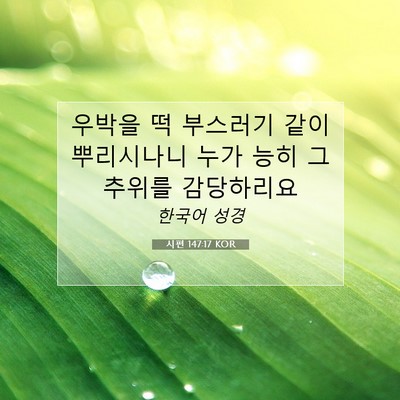 Picture 07 - 시편 147:17 KOR - 우박을 떡 부스러기 같이 뿌리시나니 - Bible Verse Picture