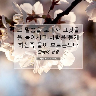 Picture 07 - 시편 147:18 KOR - 그 말씀을 보내사 그것들을 녹이시고 - Bible Verse Picture