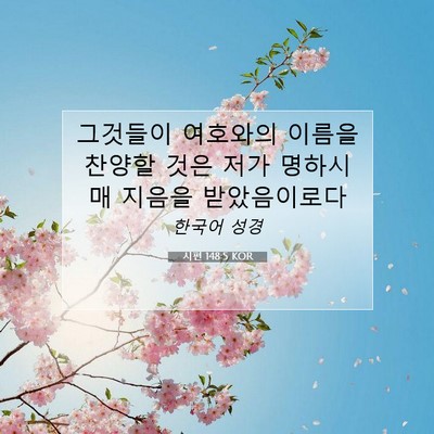 Picture 07 - 시편 148:5 KOR - 그것들이 여호와의 이름을 찬양할 - Bible Verse Picture
