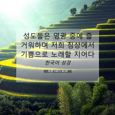 Picture 07 - 시편 149:5 KOR - 성도들은 영광 중에 즐거워하며 저희 - Bible Verse Picture