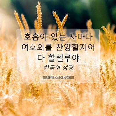 Picture 07 - 시편 150:6 KOR - 호흡이 있는 자마다 여호와를 - Bible Verse Picture