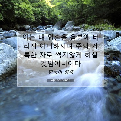 Picture 07 - 시편 16:10 KOR - 이는 내 영혼을 음부에 버리지 - Bible Verse Picture