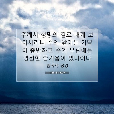 Picture 07 - 시편 16:11 KOR - 주께서 생명의 길로 내게 보이시리니 - Bible Verse Picture