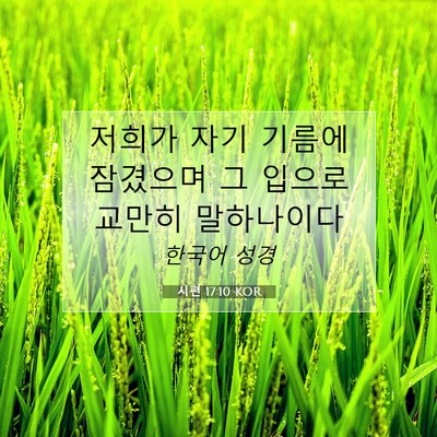 Picture 07 - 시편 17:10 KOR - 저희가 자기 기름에 잠겼으며 그 - Bible Verse Picture
