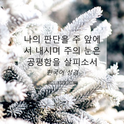 Picture 07 - 시편 17:2 KOR - 나의 판단을 주 앞에서 내시며 주의 - Bible Verse Picture