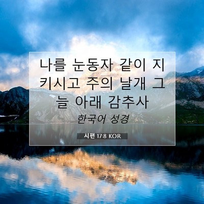 Picture 07 - 시편 17:8 KOR - 나를 눈동자 같이 지키시고 주의 - Bible Verse Picture