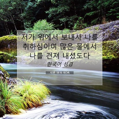 Picture 07 - 시편 18:16 KOR - 저가 위에서 보내사 나를 취하심이여 - Bible Verse Picture
