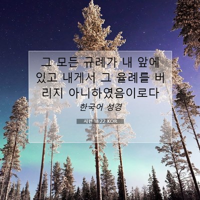 Picture 07 - 시편 18:22 KOR - 그 모든 규례가 내 앞에 있고 내게서 - Bible Verse Picture