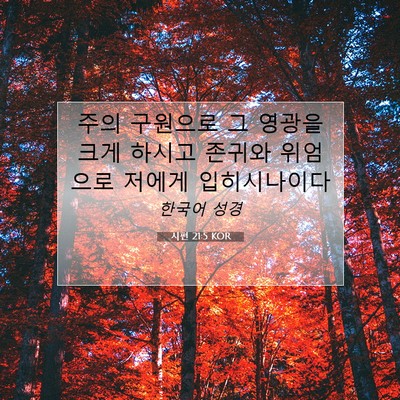 Picture 07 - 시편 21:5 KOR - 주의 구원으로 그 영광을 크게 - Bible Verse Picture