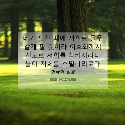 Picture 07 - 시편 21:9 KOR - 네가 노할 때에 저희로 풀무 같게 할 - Bible Verse Picture