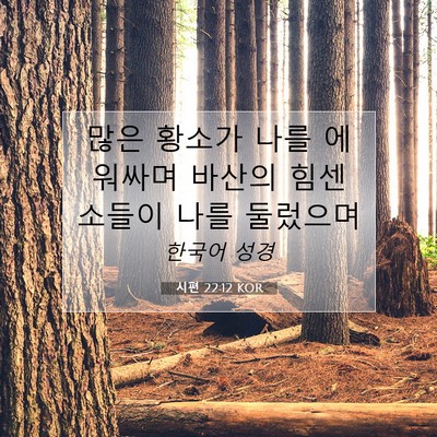 Picture 07 - 시편 22:12 KOR - 많은 황소가 나를 에워싸며 바산의 - Bible Verse Picture