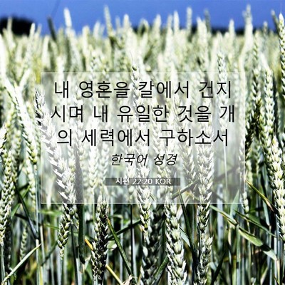 Picture 07 - 시편 22:20 KOR - 내 영혼을 칼에서 건지시며 내 - Bible Verse Picture