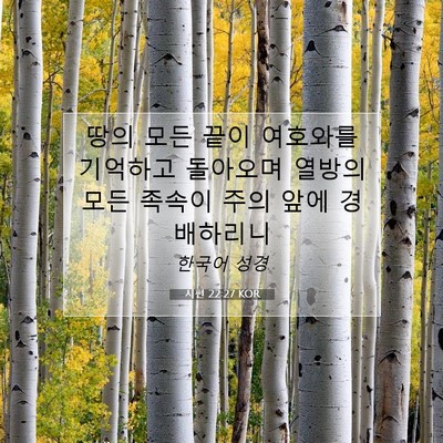 Picture 07 - 시편 22:27 KOR - 땅의 모든 끝이 여호와를 기억하고 - Bible Verse Picture