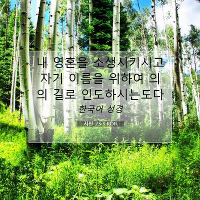 Picture 07 - 시편 23:3 KOR - 내 영혼을 소생시키시고 자기 이름을 - Bible Verse Picture