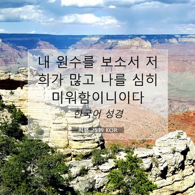 Picture 07 - 시편 25:19 KOR - 내 원수를 보소서 저희가 많고 나를 - Bible Verse Picture