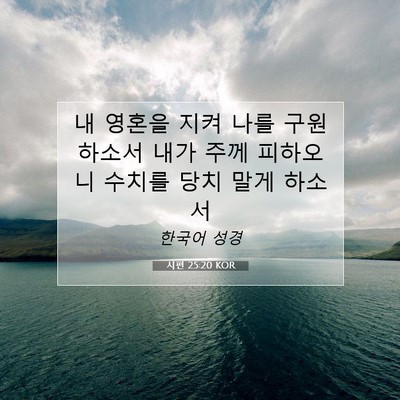 Picture 07 - 시편 25:20 KOR - 내 영혼을 지켜 나를 구원하소서 - Bible Verse Picture