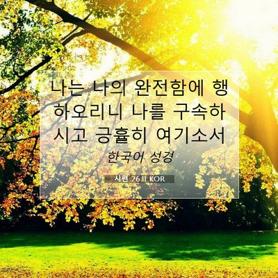 Picture 07 - 시편 26:11 KOR - 나는 나의 완전함에 행하오리니 나를 - Bible Verse Picture