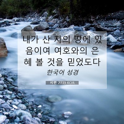 Picture 07 - 시편 27:13 KOR - 내가 산 자의 땅에 있음이여 - Bible Verse Picture