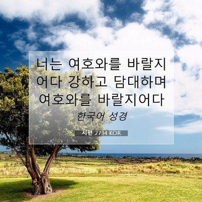 Picture 07 - 시편 27:14 KOR - 너는 여호와를 바랄지어다 강하고 - Bible Verse Picture