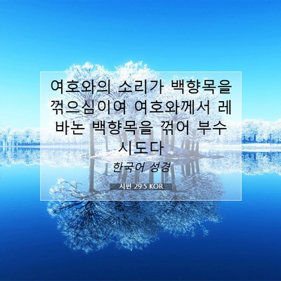 Picture 07 - 시편 29:5 KOR - 여호와의 소리가 백향목을 - Bible Verse Picture