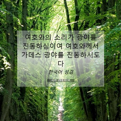 Picture 07 - 시편 29:8 KOR - 여호와의 소리가 광야를 - Bible Verse Picture