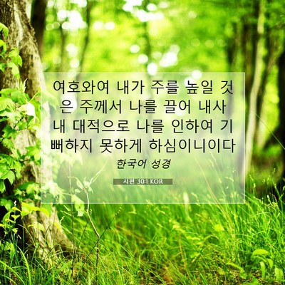 Picture 07 - 시편 30:1 KOR - 여호와여 내가 주를 높일 것은 - Bible Verse Picture
