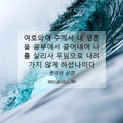 Picture 07 - 시편 30:3 KOR - 여호와여 주께서 내 영혼을 음부에서 - Bible Verse Picture