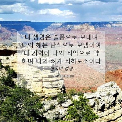 Picture 07 - 시편 31:10 KOR - 내 생명은 슬픔으로 보내며 나의 - Bible Verse Picture